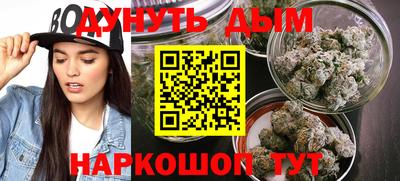 стаф Кинель