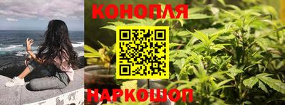 метадон Кингисепп