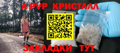 стаф Кинель