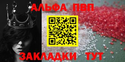 стаф Кинель