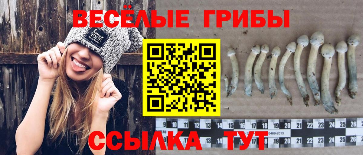 Галлюциногенные грибы прущие грибы  Вход с VPN  Кстово 